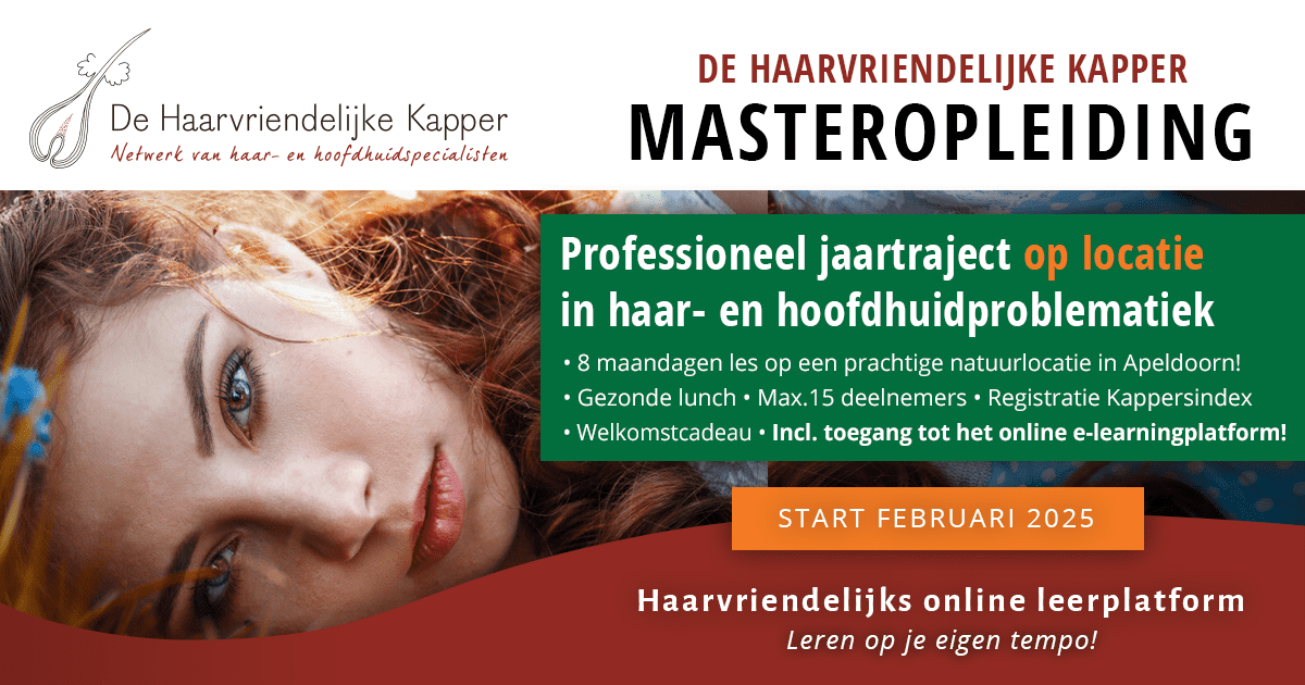 De Haarvriendelijke Kapper - Masteropleiding Hybride 2025